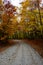 Fall road in forest of Pictured Rocks National Lakeshore Munising. Trees tunnel.