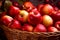 Fall\\\'s fruitful gift, basket overflowing with red juicy organic apples