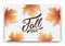 Fall sale background layout design. Fall lettering and autumn leaves. Autumn sale banner