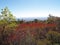 Fall at Sam`s Point Preserve In Cragsmoor NY