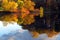 Fall Scene with Autumn Trees Reflection in Lake