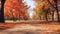 Fall scenery that is breathtaking and suitable for nature lovers
