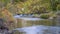 Fall scenery of Cache la Poudre River