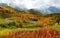 Fall scenery of a car driving on a sharp highway curve winding thru colorful forests on the mountainside with foggy mountains