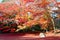 Fall scenery of fiery maple trees in a Japanese garden in Sento Imperial Palace Royal Park in Kyoto, Japan