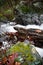 Fall scenery in forest with silky satin soft river flowing in long exposure