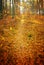 Fall season autumn park path abstract background vertical panorama