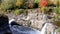 Fall season in park with walking people along waterfalls and river. The Hog's Back Falls in Ottawa, Canada.