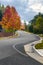 Fall season view of winding road in suburban Southern California.