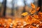 Fall serenity closeup of golden leaves, blurred autumn landscape backdrop