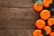 Fall side border of pumpkins and eucalyptus leaves against a rustic wood background