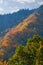 Fall Smoky Mountains