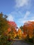 Fall street blue sky