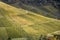 Fall sun shines on vineyards slope near Rotenberg, Germany