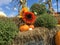 Fall sunflowers and pumpkins