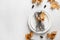 Fall table setting with autumn leaves and white plate on white table. Top view. Copy space