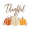 Fall Thanksgiving Pumpkin Vector Illustration