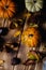 Fall thanksgiving still life with pumpkins assortment, chestnuts, autumn leaves