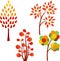 Fall Tree Illustrations