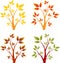 Fall Trees, Autumn Trees, Tree Vectors