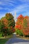 Fall trees and Bennington Monument