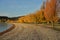 Fall trees beside lake