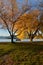 Fall trees beside lake