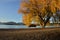 Fall trees beside lake