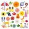 Fall vector icons, design elements on white background. Autumn harvest, food, accessories and leaves flat illustration.