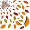 fall vector pattern the wind blows on the tree and carries yellowed leaves. Autumn pattern of fallen yellow orange and red foliage