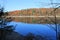 Fall at Walden Pond, Concord, MA. November morning oaks