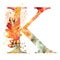 Fall Watercolor Letter K. Watercolor Autumn Alphabet.