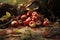 fallen apples scattered around the base of a tree