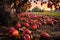 fallen apples scattered on the ground in an orchard