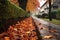 fallen autumn leaves blocking a gutter during rainfall