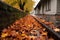 fallen autumn leaves blocking a gutter during rainfall