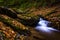 Fallen autumn leaves and cascades on Oakland Run in Holtwood, Pe