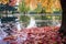 fallen autumn leaves on a serene pond