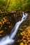 Fallen autumn leaves and a small waterfall on Oakland Run in Holtwood, Pennsylvania.