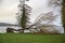 Fallen bare tree on the meadow at the lake shore after heavy weather, dangerous storm damage, cloudy sky, copy space