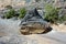 Fallen Boulder: Nizwa, Oman