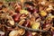 Fallen chestnuts and leaves