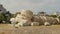 Fallen column at temple of zeus ruins in athens, greece