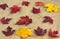 Fallen foliage on a old burlap. Abstract autumn backgrounds.