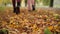 Fallen golden leaves on ground with teen feet walking away leaving. Two unrecognizable teenage friends walking outdoors