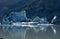 Fallen iceberg on Tasman glacier lake, New Zealand