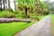 Fallen large tree showing roots uprooted and toppled down over a walkway aftermath of a violent disaster hurrican