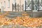 Fallen leaves around building porch