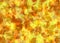 Fallen Leaves in Autumn Abstract Painting Background in Yellow Orange Colour
