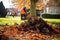 fallen leaves being cleared around a planted tree